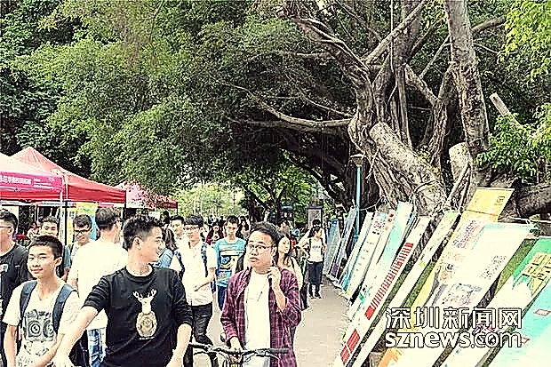 首届深圳社会组织专场招聘会